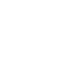 Shield icon